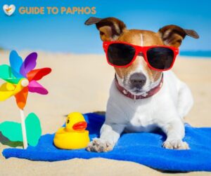 Safety & Health in Paphos