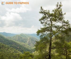 Paphos Forest with E-mountain Bikes Tour