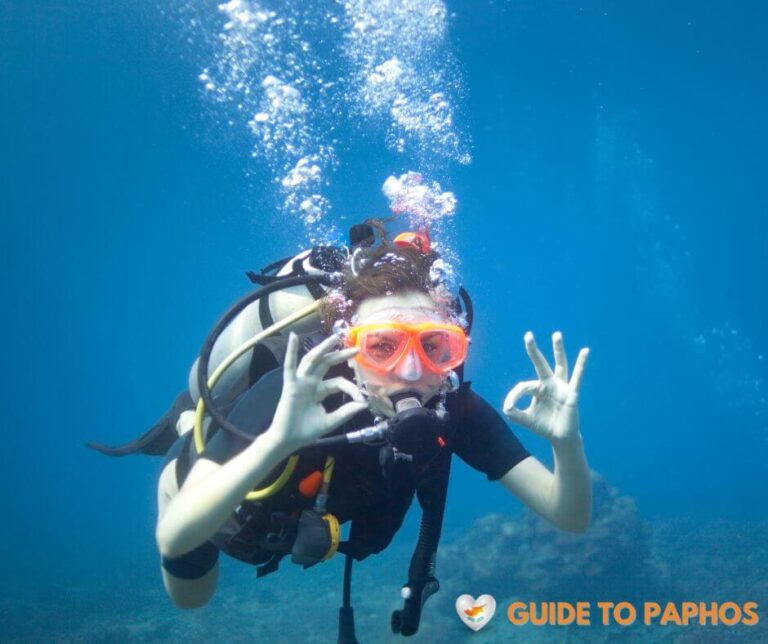 Scuba Diving Half-Day Tour in Paphos