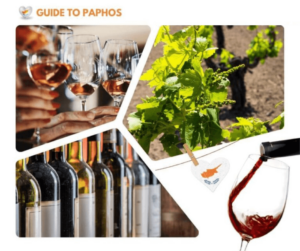 Wine Day Tour from Paphos
