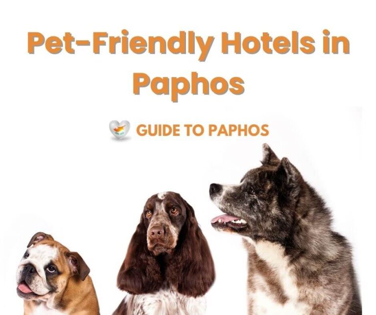 The Best Pet-Friendly Hotels in Paphos