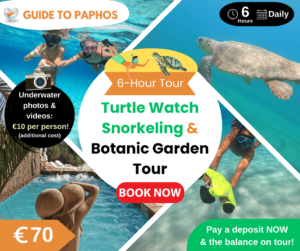 Turtle Watch Snorkeling & Botanic Garden Tour