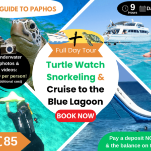 Turtle Watch Snorkeling & Cruise to the Blue Lagoon Full-Day Adventure