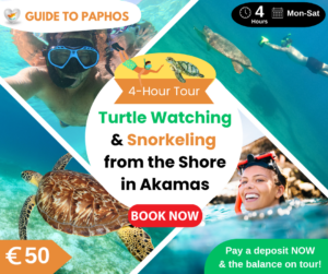 Turtle Watching & Snorkeling from the Shore (4 Hours) in Paphos