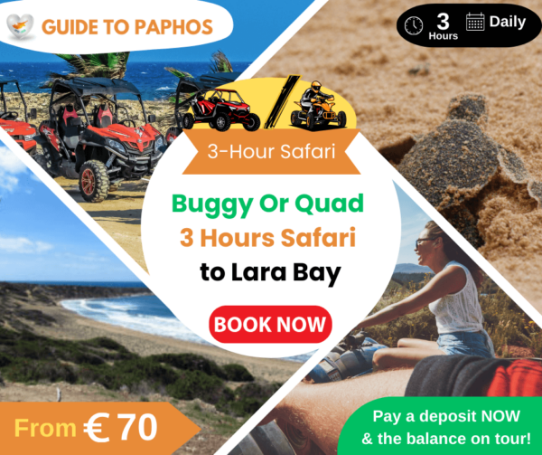 Buggy or Quad 3-Hour Safari To Lara Bay