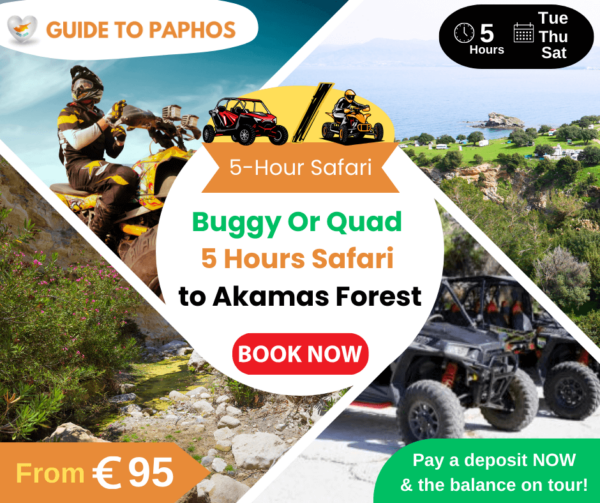 Buggy or Quad 5-Hour Safari To Akamas Forest